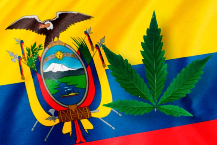 Bandera de Ecuador y hoja de Cannabis Medicinal
